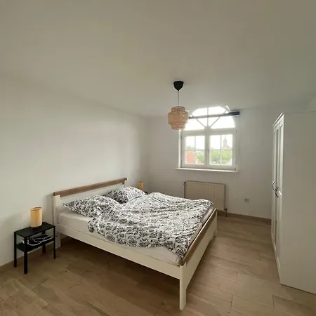 Spacious Flat In Alsace 30 Min From Europa-park Apartman *