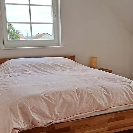 Apartman Spacious Flat In Alsace 30 Min From Europa-park *