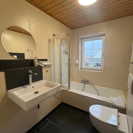 Spacious Flat In Alsace 30 Min From Europa-park Apartman