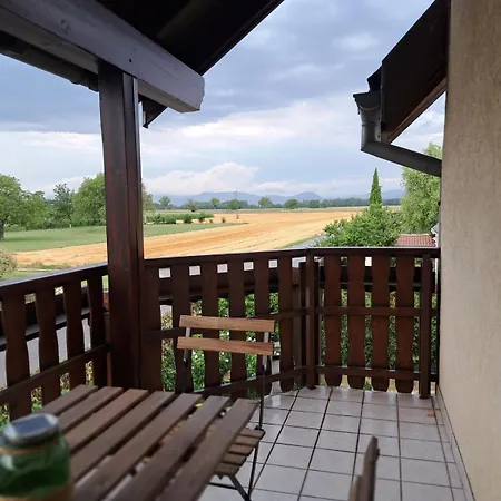 Spacious Flat In Alsace 30 Min From Europa-park * Bootzheim