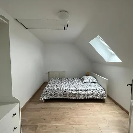 Spacious Flat In Alsace 30 Min From Europa-park
